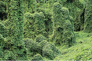 《异度神剑2》出货突破250万 海外销量远超日本国内